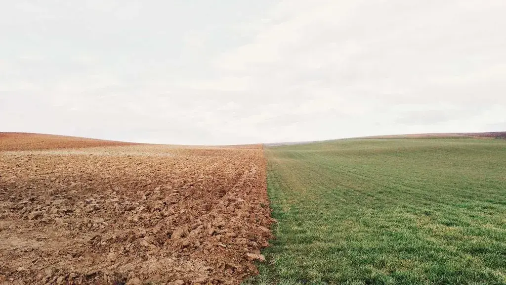 Cum a devenit Shasta County o fortăreață Trump?
